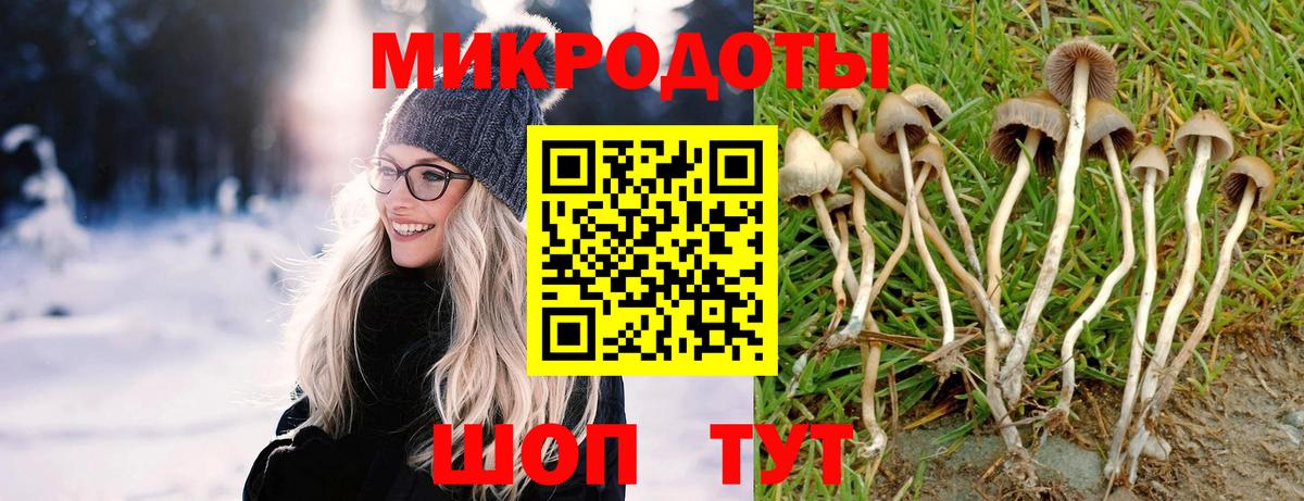 Новоалександровск  Галлюциногенные грибы ЛСД  Вход с VPN 
