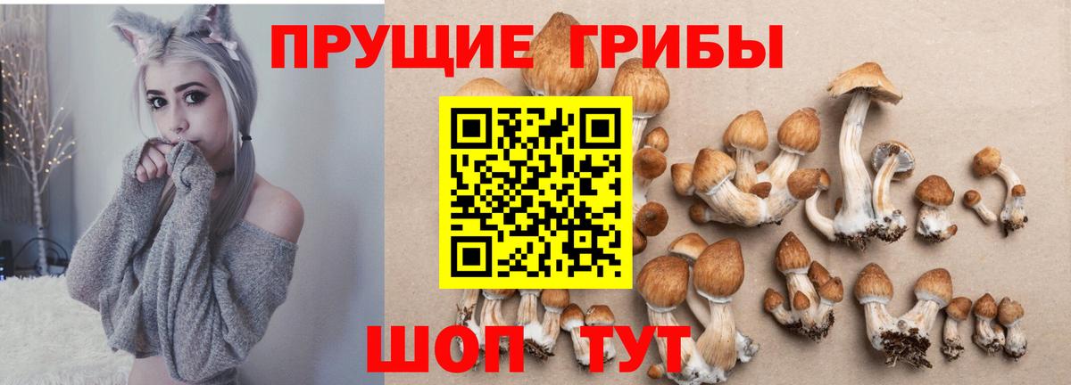 Галлюциногенные грибы мицелий Новоалександровск